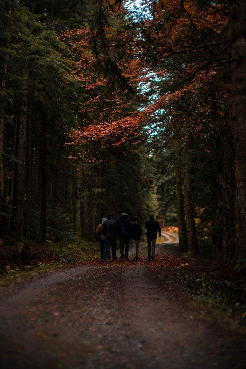 トレイルアドベンチャーズジャパン - Image 2