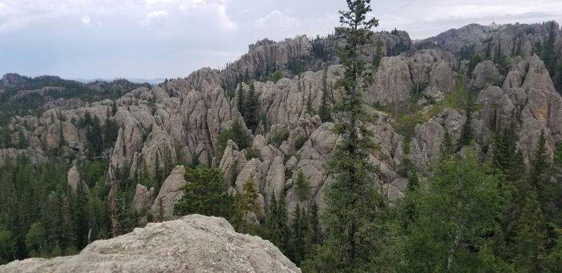 トレイルアドベンチャーズジャパン - Image 4